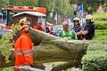 Feuerwehr_Baum   034